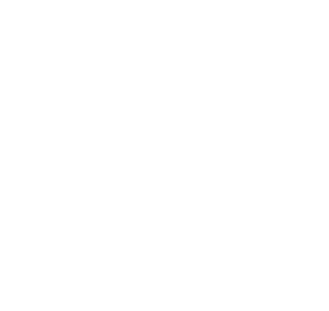 Corona Extra